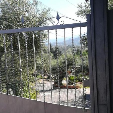 Вілла La Casa Tra Gli Ulivi Di Fonte Nuova 1 Екстер'єр фото